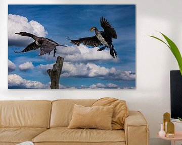 Cormorants in flight and landing on Tree.