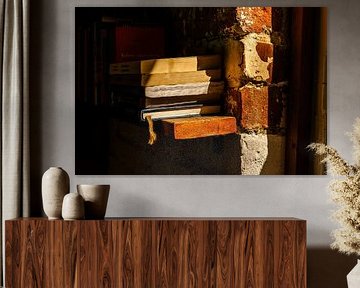 Livres au soleil – mur de briques & étagère en bois | art mural bibliothèque rustique sur Brave Toaster Photos