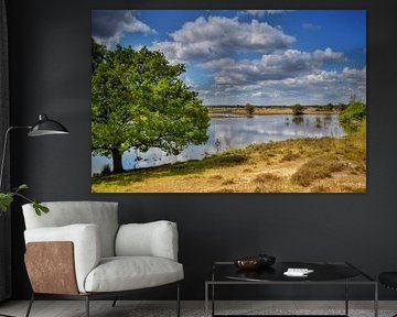 Kampina Boxtel by Monique Verlouw