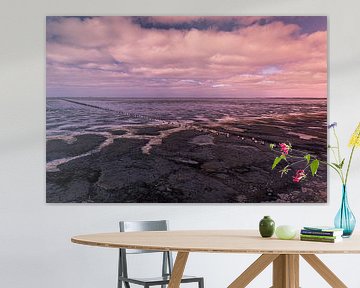 wattenmeerboden bei wierum von peterheinspictures