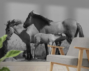 Konik horse mother and foal by Gea Teigeler