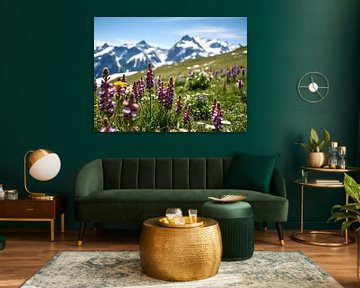 Alpine bloemenweide voor besneeuwde bergen van ButterflyPix