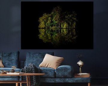 Arbres dans le lac sur Johan van Esch