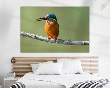 Kingfisher with fish by Peter Bartelings