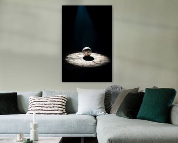 Le football sous les feux de la rampe en noir et blanc sur Imperial Art House