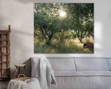 Samos part 16 by Tania Perneel