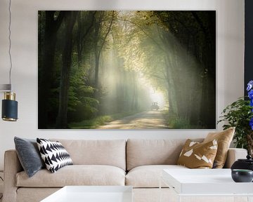 Zonneharpen in het bos bij Spier – Voorbijrijdende tractor van KB Design & Photography (Karen Brouwer)