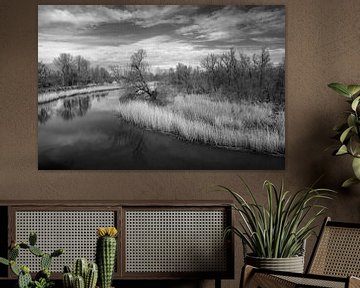 Rust en Reflectie in De Biesbosch van Jan Jongejan
