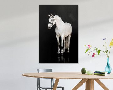 Fine art Horse by Keeley Wit