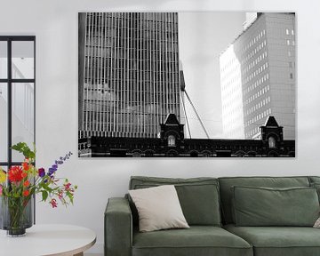Erasmusbrug van Fokke jurrien Akker