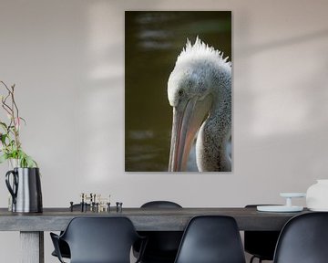 I see you van Fokke jurrien Akker