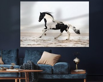 Barock Pinto on the beach by Keeley Wit