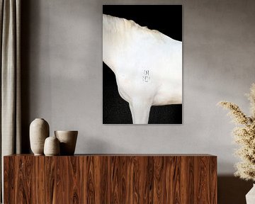 Fine art Horse by Keeley Wit