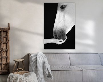 Horse and Human by Keeley Wit