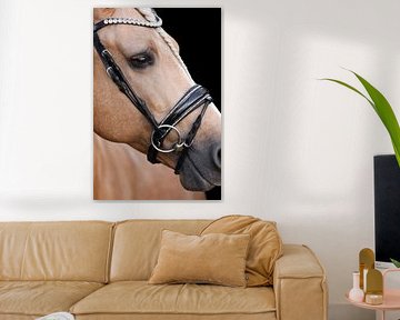 Fine art Horse