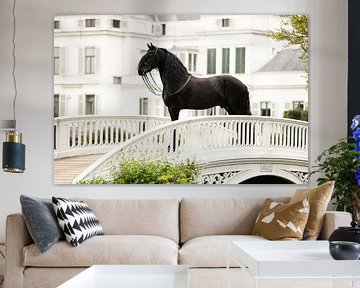 Cheval et palais de Soestdijk sur Keeley Wit