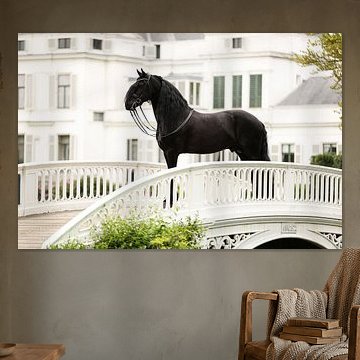 Cheval et palais de Soestdijk