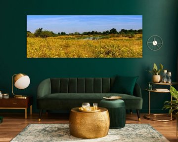 Panoramafoto van een Nederlands Natuurgebied in de Zomer met Gele Wilde Bloemen en Bosrijke Oevers van Kristof Leffelaer