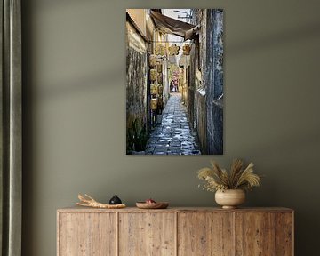 The discreet charm of an alleyway in Hoi An by Frank Photos