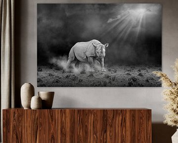 Black rhinoceros in black and white by Chris Stenger