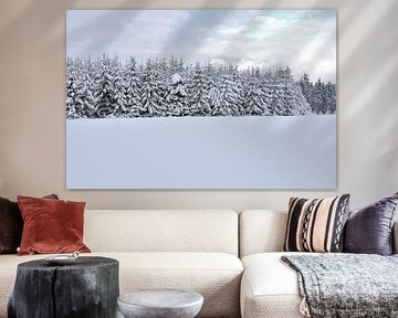 snowy landscape by Ger Nielen