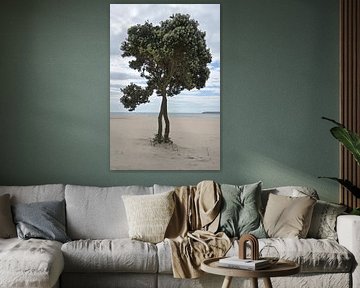 Arbre solitaire sur la plage de Matosinhos