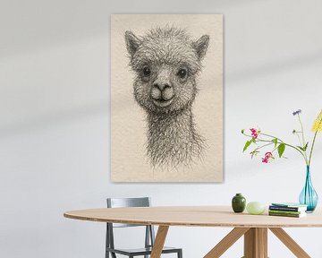 Draad portret jonge alpaca (Nieuwsgierige blik zachte uitstraling dieren illustratie draadjes papier)