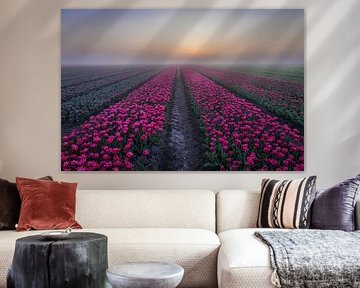 pink tulips in archipelago by peterheinspictures