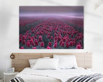 Red tulips with ripeness in earth forest by peterheinspictures