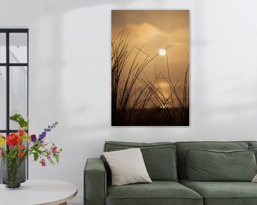 Gouden uur Zeeland van Coen van Eijken