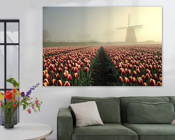 tulip field at obdam mill by peterheinspictures