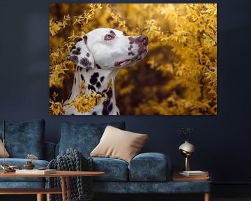 Dalmatiner in gelben Blumen von Traveling dogs