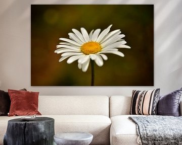 Margrietje