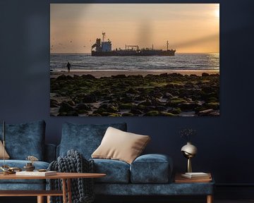 Eenzame wandelaar aanschouwt tanker Crystal Lavender bij zonsondergang, terwijl golven zachtjes breken en meeuwen zweven boven een met zeewier bedekte rotsachtige kustlijn. van byphotographyms