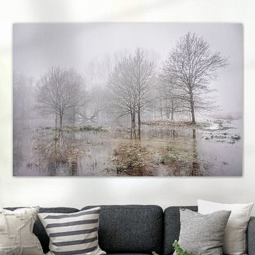 En proie à la brume