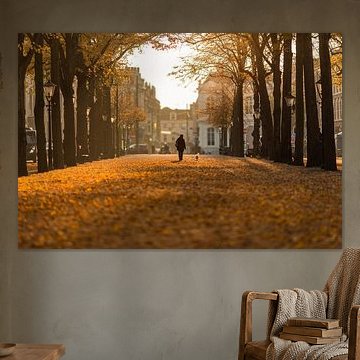 The Hague - Lange Voorhout