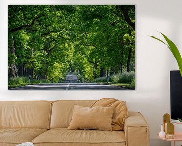 Eikenboom steeg op asfaltweg in de lente op zonnige van Robert Ruidl