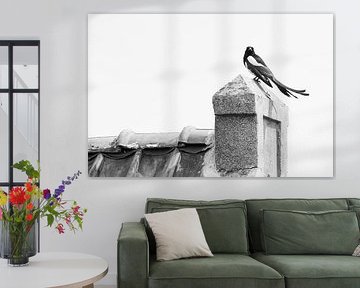 Oiseaux dans les zones bâties sur Ronald Buitendijk Fotografie
