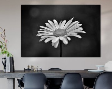 Margrietje sur Monique Verlouw
