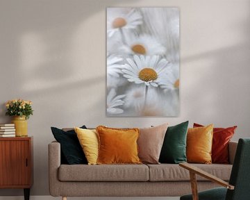 Parmi les marguerites sur Patricia van Kuik