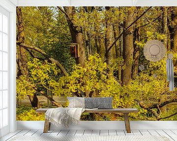 Nistkasten im Frühlingsgrün – Parklandschaft & Baumrinde von Brave Toaster Photos