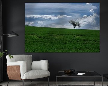 Baum im Feld von Ralf Hickmann