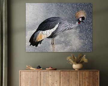 The crowned crane by Joachim G. Pinkawa