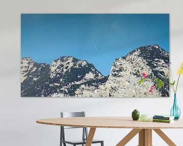 Landschap in de Alpen