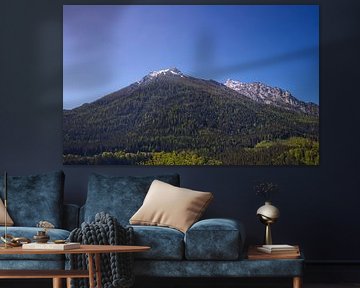 Landschap in de Alpen
