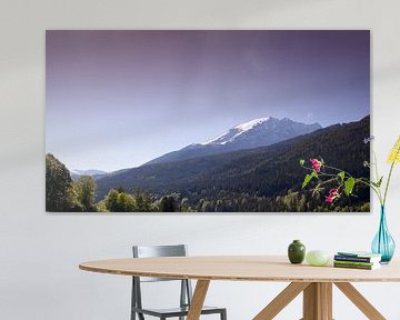 Landschap in de Alpen