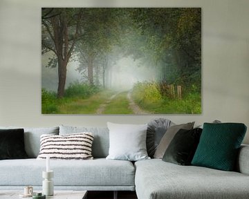 Mistig bospad op Landgoed de Vossenberg, Wijster van KB Design & Photography (Karen Brouwer)