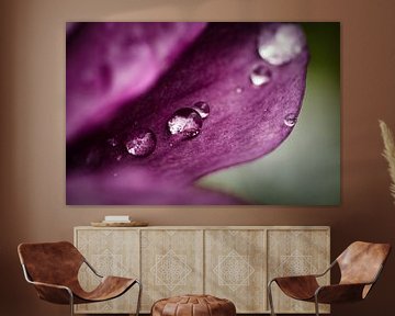 Waterdrops