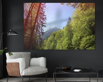 Alpenlandschap