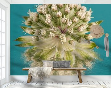 Simple still life in petrol: Reflection of a Zeeland button by Marjolijn van den Berg